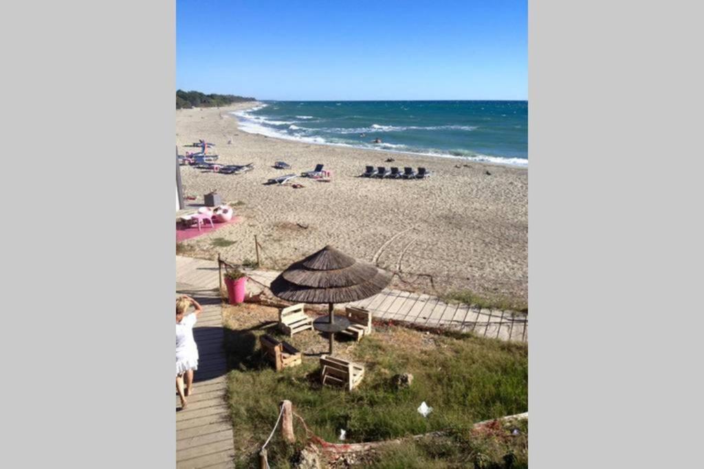 Marine De Bravone T2 Terrasse Front De Mer - Plage Pieds Dans L'Eau - Clim - Piscine - Wifi Linguizzetta Exteriér fotografie