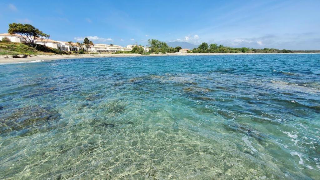 Marine De Bravone T2 Terrasse Front De Mer - Plage Pieds Dans L'Eau - Clim - Piscine - Wifi Linguizzetta Exteriér fotografie
